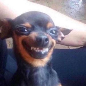 Meet your Posher, Alfredo